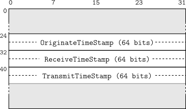 NTP packet header.